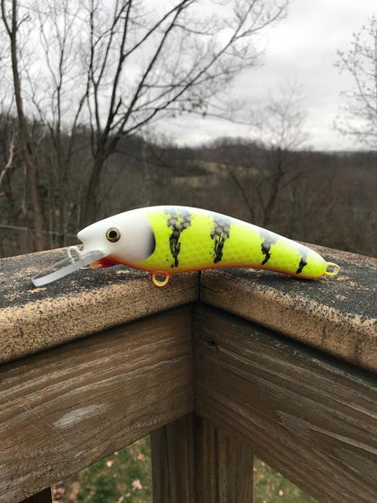 6" K.O. Shad