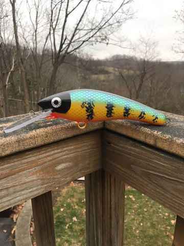 8” KO. Shad