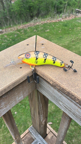 Copper Perch - Chartreuse Belly - 5KOS
