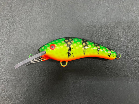 Green Bay Perch - Orange Belly - 5KO