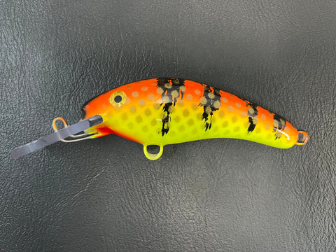 Orange Perch - Chartreuse Belly - 5KO