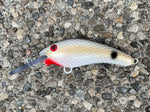 Hamrick Shad - White Belly - 5KO