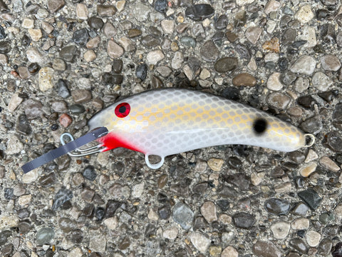 Hamrick Shad - White Belly - 5KO