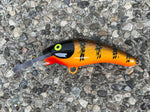 Brown Perch - Orange Belly - 5KO