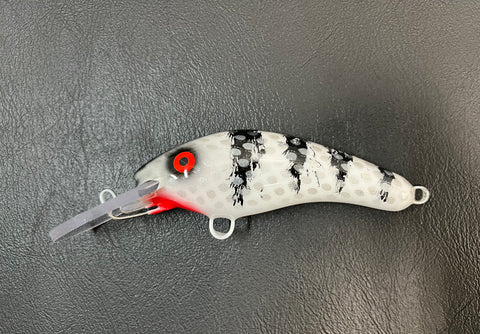 Zombie Perch - White Belly - 5KO