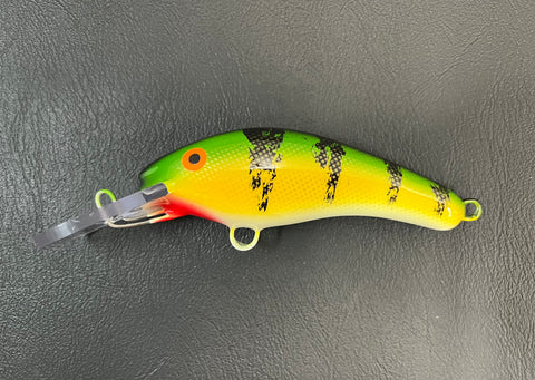 Perch - White Belly - 5KO