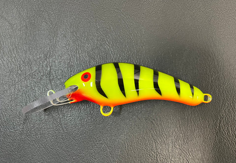 Chartreuse Tiger - Orange Belly - 5KO