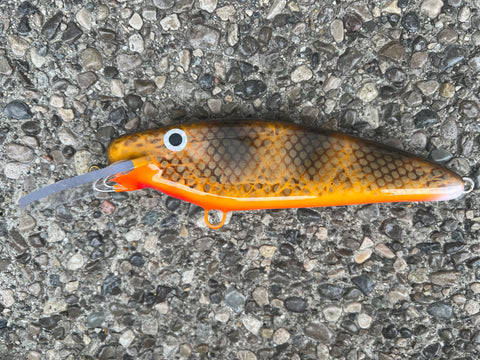 Walleye - Orange Belly - 7SS