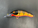 Brown Perch - Pink Belly - 5KO