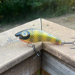 Walleye - White Belly - 5KOS