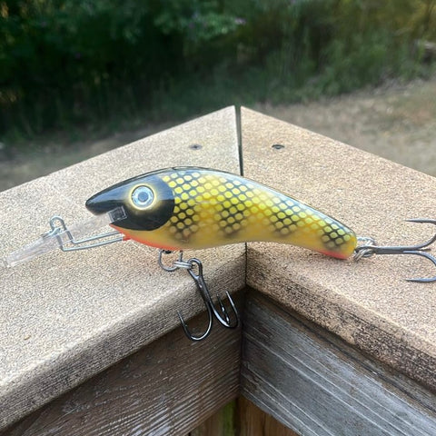 Walleye - White Belly - 5KOS