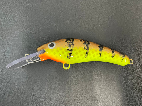 Copper Perch - Chartreuse Belly - 6KO