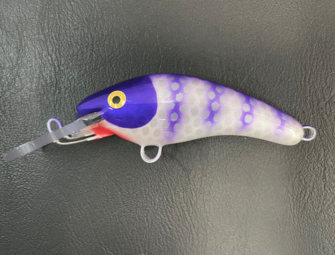 Frozen Plum Perch - Pearl Belly - 5KO