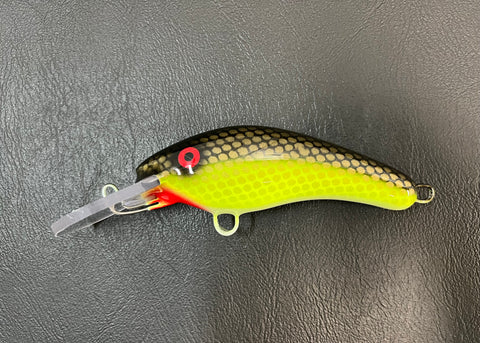 Hot Black Sucker - White Belly - 5KO