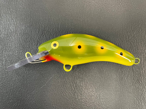 Olive Frog - Yellow Belly - 5KO