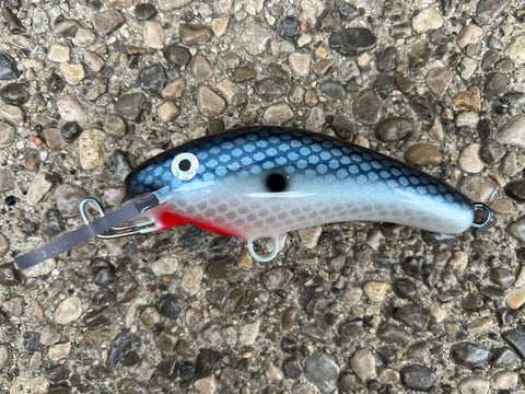 Iridescent Shad - White Belly - 5KO