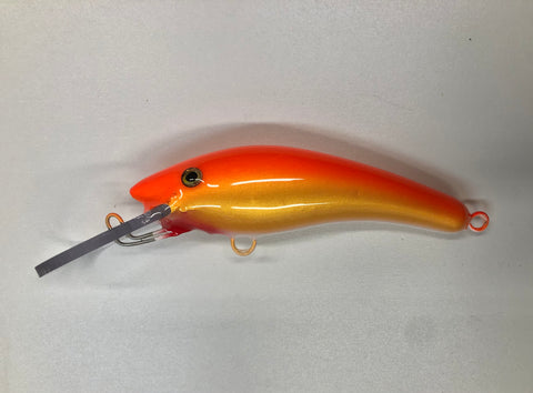 Gold Fish - White Belly