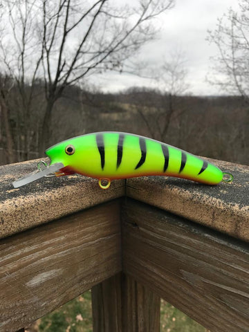 Fire Tiger - Orange Belly - 6SH
