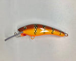 Brown Perch - Orange Belly