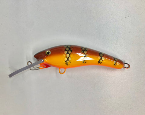Brown Perch - Orange Belly