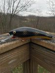 Black Perch - Orange Belly - 6Sh
