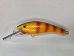 Red Bar Perch - Yellow Belly
